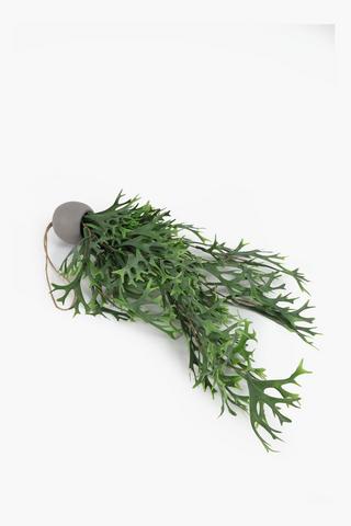 Hanging Horn Stag, 7x64cm