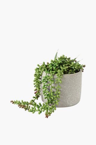 Trailing Leaf In Stone Pot, 15x19cm