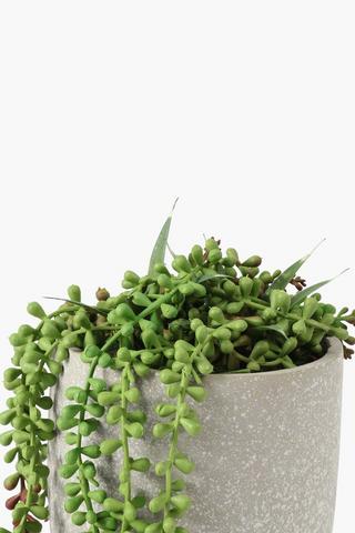 Trailing Leaf In Stone Pot, 15x19cm