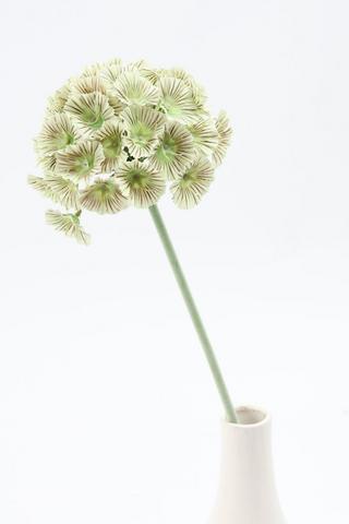 Pinwheel Flower Single Stem, 59cm