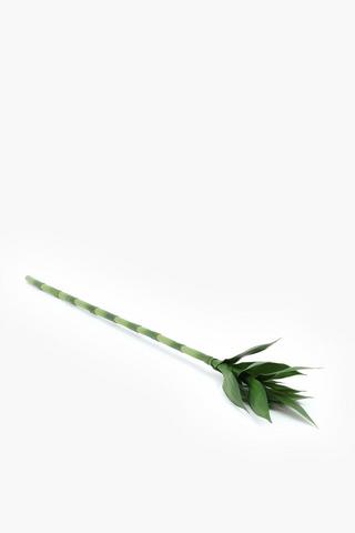 Bamboo Sintgle Stem, 90cm