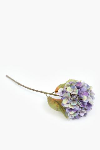 Hydrangea Single Stem, 46cm