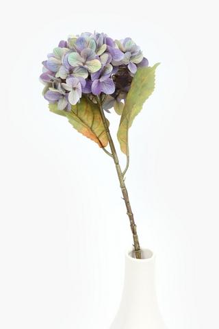 Hydrangea Single Stem, 46cm