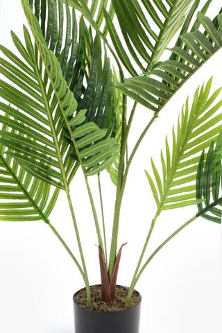 Palm Tree, 120cm