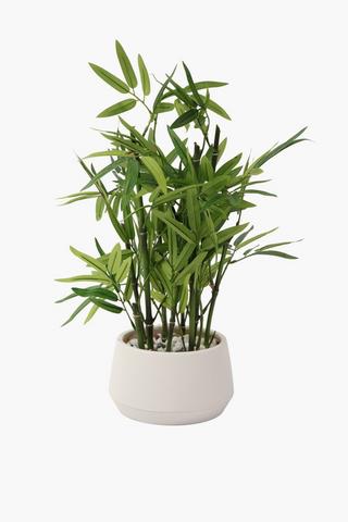 Bamboo Tree Potted, 17x43cm