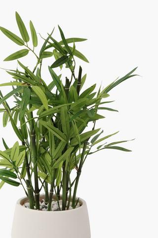 Bamboo Tree Potted, 17x43cm