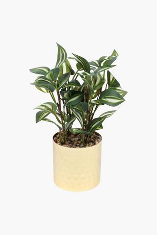 Variegated Leaf In Beaten Pot, 8.5x24.5cm