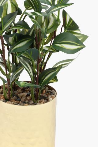 Variegated Leaf In Beaten Pot, 8.5x24.5cm