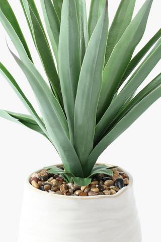 Spike Agave In Ripple Pot, 40x43cm