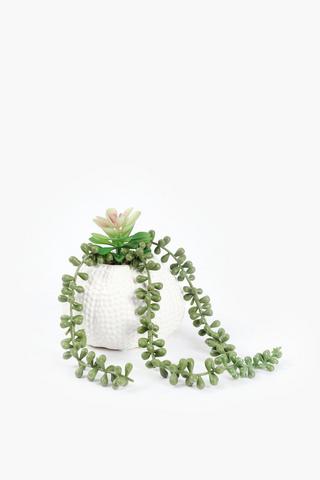 Trailing Succulent In Urchin Pot, 27x12cm