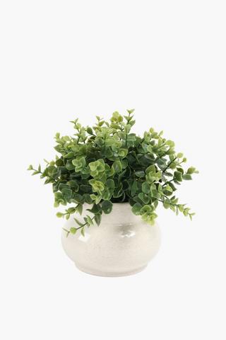 Greenery In Crackle Pot,