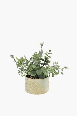 Berry In Fern Pot, 11.5x21cm