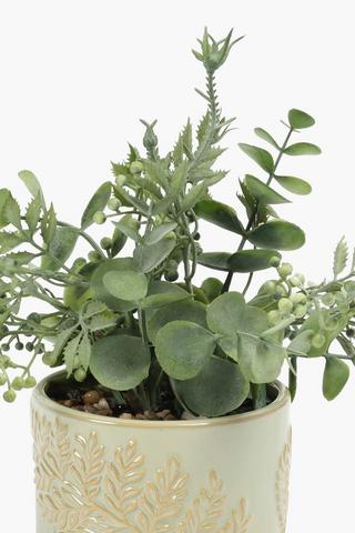 Berry In Fern Pot, 11.5x21cm