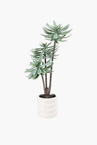 3 Stem Succulent In Tier Pot, 10x50cm