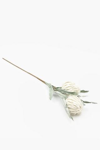 Foam 2 Protea Single Stem, 98cm