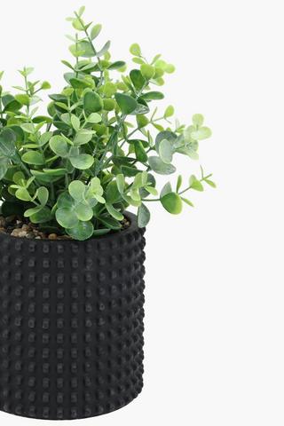 Greenery In Bobble Pot, 14x28cm