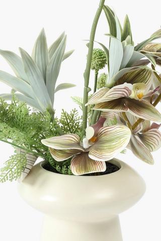 Orchid Arragement In Ceramic Pot, 12x44cm