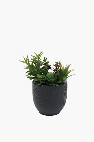 Agave In Retro Geo Pot, 15x23cm