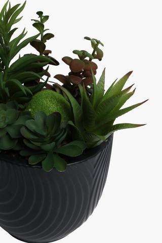 Agave In Retro Geo Pot, 15x23cm