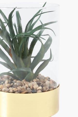 Agave In Metal And Glass Pot, 9x15cm