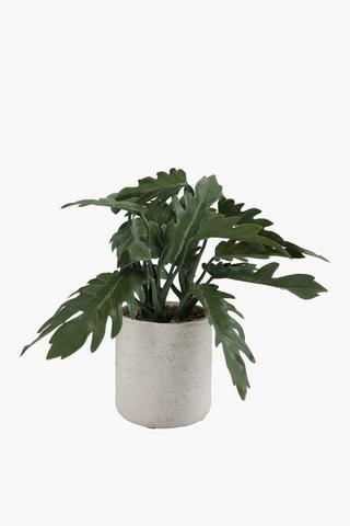 Xanadu Leaf In Speckle Pot