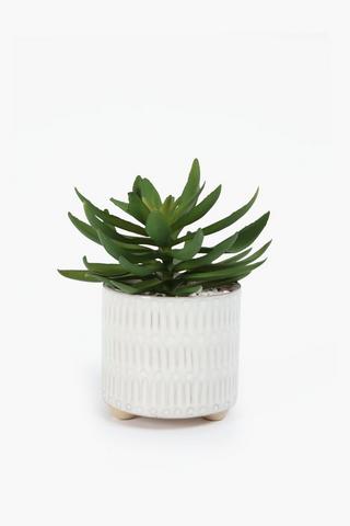 Agave In Line Embossed Pot, 10.5x18cm
