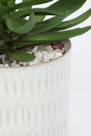 Agave In Line Embossed Pot, 10.5x18cm