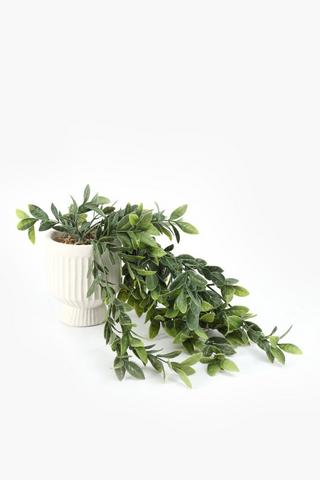 Trailing Greenery In Footed Pot, 30x10cm