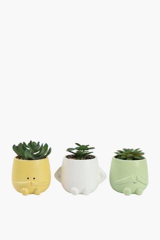 Assorted Emoji Succulent, 8x12cm