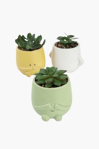 Assorted Emoji Succulent, 8x12cm