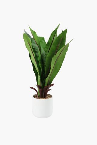 Birds Nest In Glaze Pot, 15x65cm