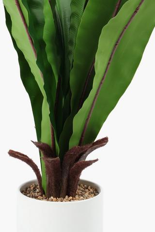 Birds Nest In Glaze Pot, 15x65cm