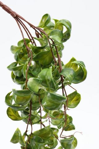 Hanging Greenery Single Stem, 83cm