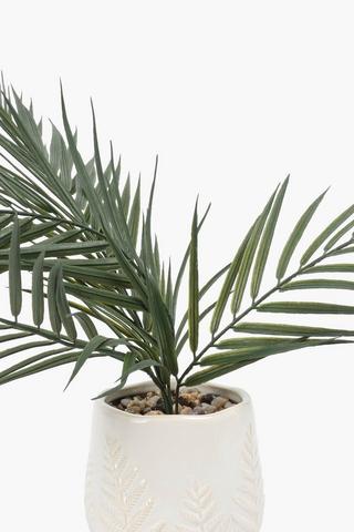 Fern In Embossed Glazed Pot, 11x40cm