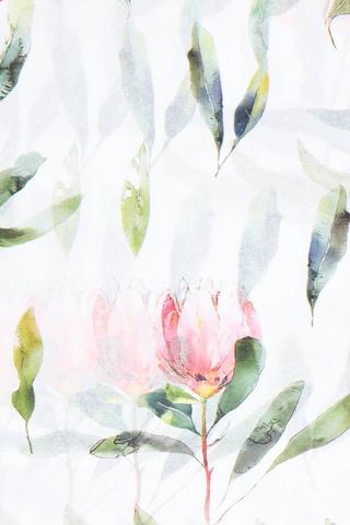 Alicedale Tissue Paper