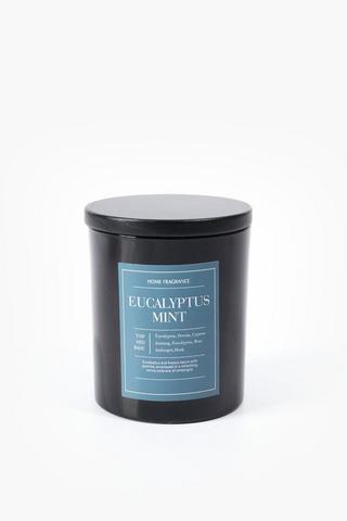 Eucalyptus Mint Candle, 504g