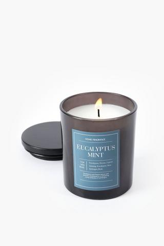 Eucalyptus Mint Candle, 504g