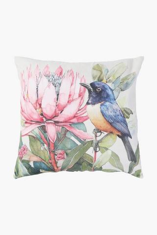 Printed Protea Sugar Bird Scatter Cover Only, 50x50cm