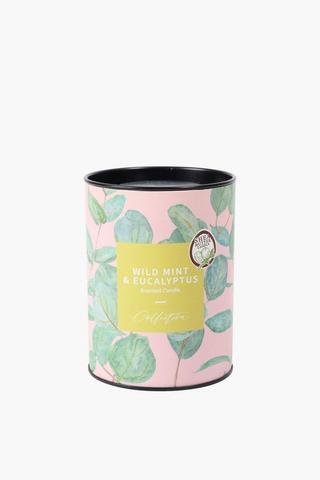Wild Mint And Eucalyptus Candle Tin, 210g