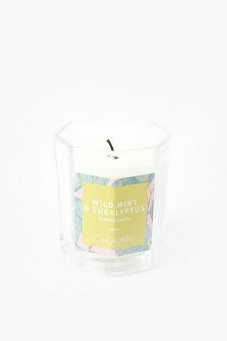 Wild Mint And Eucalyptus Candle Tin, 210g