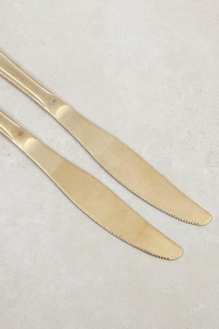 2 Pack Brushed Steel Knives