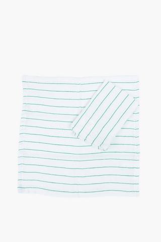 2 Pack Stripe Dish Swabs
