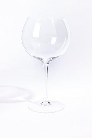 Gin Glass