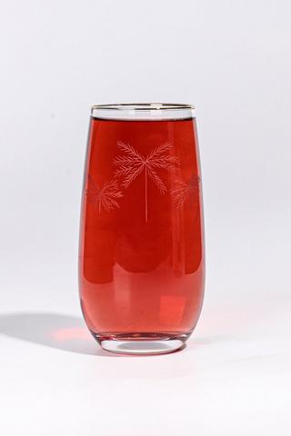 Palm Hi-ball Glass