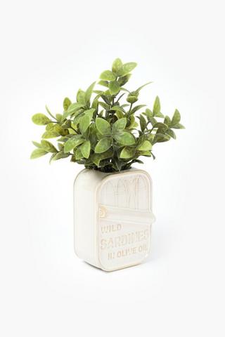 Greenery In Sardine Pot, 9 X28cm