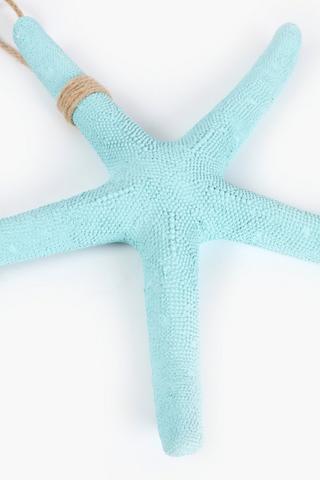 Resin Starfish, 36x5cm