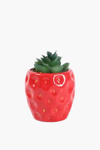 Agave In Strawberry Pot, 9x12cm