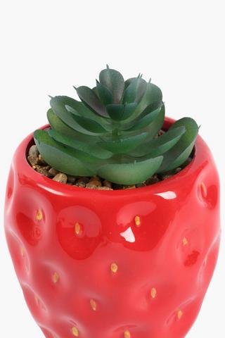 Agave In Strawberry Pot, 9x12cm