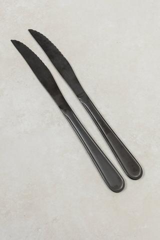 2 Pack Brushed Steel Steak Knives