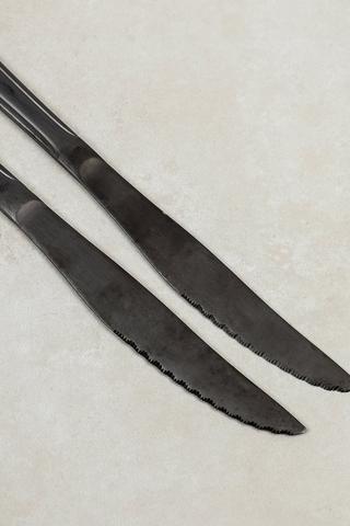 2 Pack Brushed Steel Steak Knives